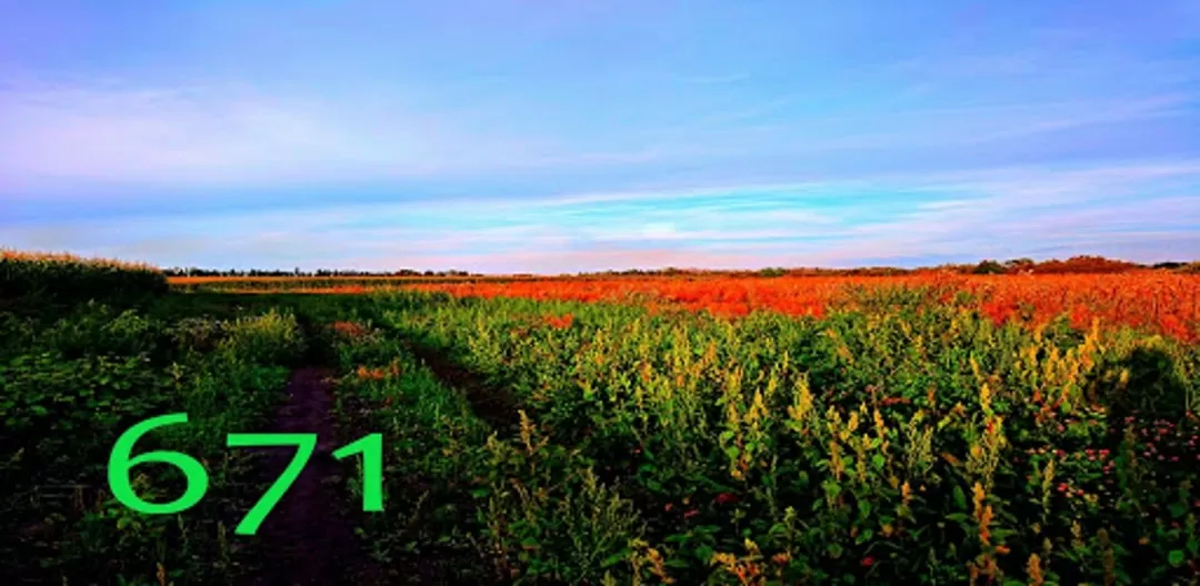 671 слово ответы на все уровни на одной странице