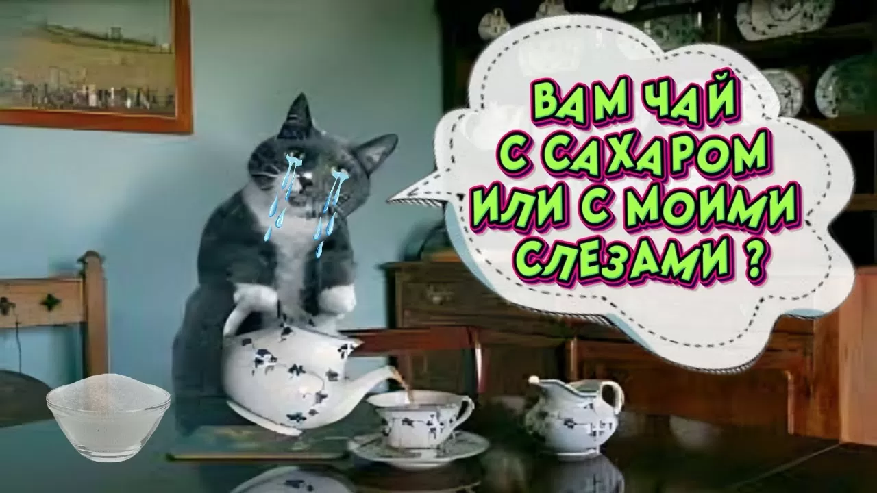 Вам чай с Сахаром или С Моими Слезами откуда фраза, звук, мультик